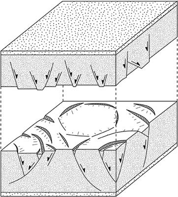 Kinematics of Polygonal Fault Systems: Observations from the Northern North Sea